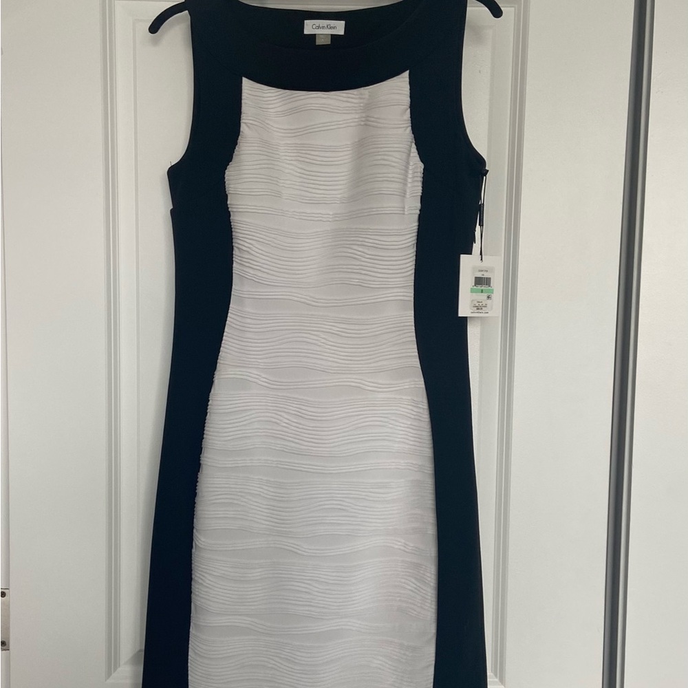Calvin Klein Black and White fitted dress.